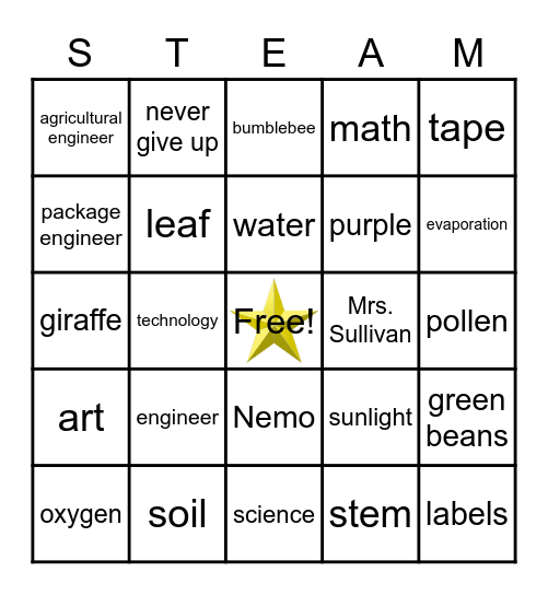 STEAM Bingo Card