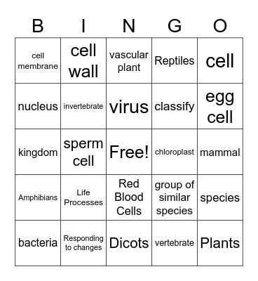 Comparing Living Things Bingo Card