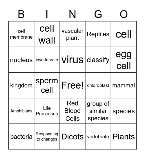 Comparing Living Things Bingo Card