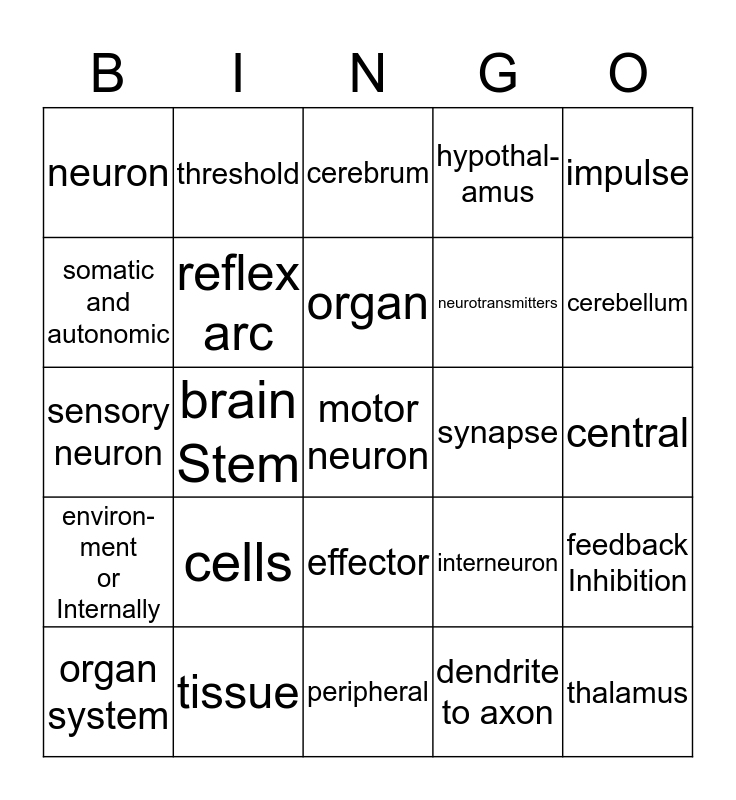 Biology Ch Nervous System Bingo Card