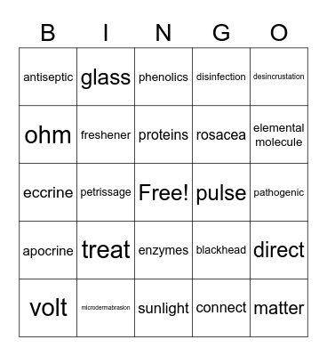 Phase 1 Final Bingo Card