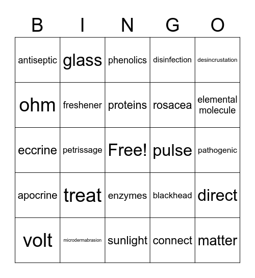 Phase 1 Final Bingo Card