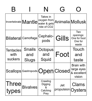 LIFE SCIENCE MOLLUSKS  Bingo Card