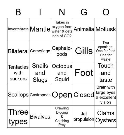 LIFE SCIENCE MOLLUSKS  Bingo Card