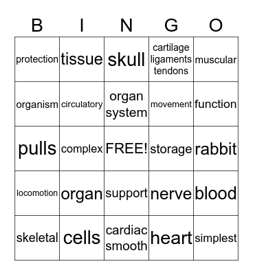 Science Review Organization of life and Locomotion Bingo Card
