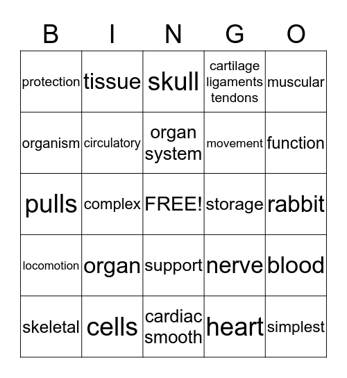 Science Review Organization of life and Locomotion Bingo Card
