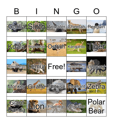 Zoo Animals Bingo Card