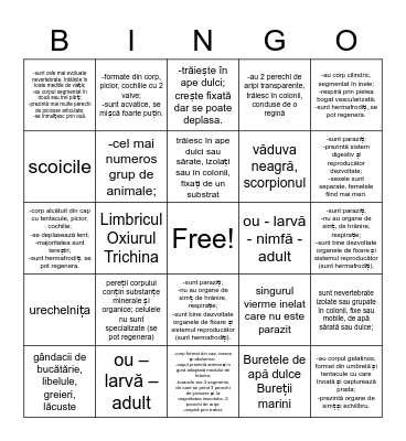 nevertebrate Bingo Card