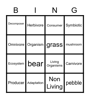 Interdependency Vocabulary Bingo Card