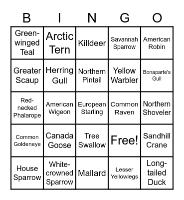 Bird Bingo! Bingo Card