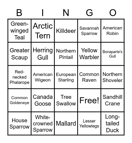 Bird Bingo! Bingo Card
