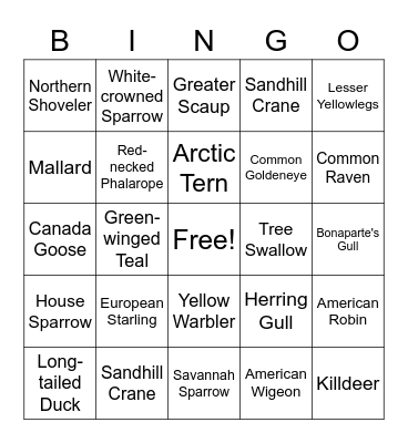 Bird Bingo! Bingo Card
