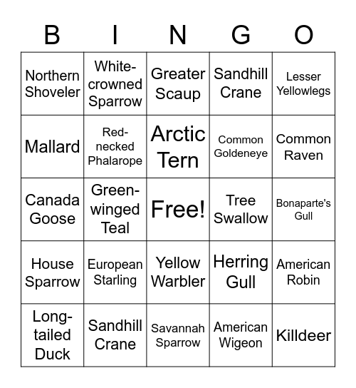 Bird Bingo! Bingo Card