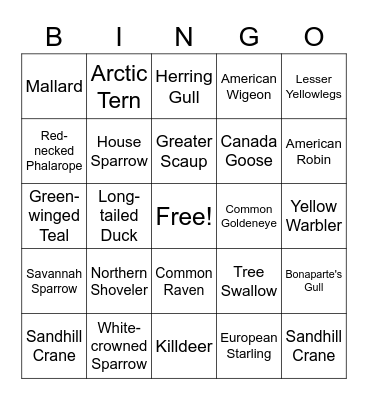 Bird Bingo! Bingo Card