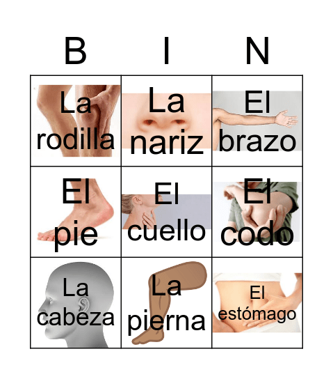 Partes del cuerpo Bingo Card