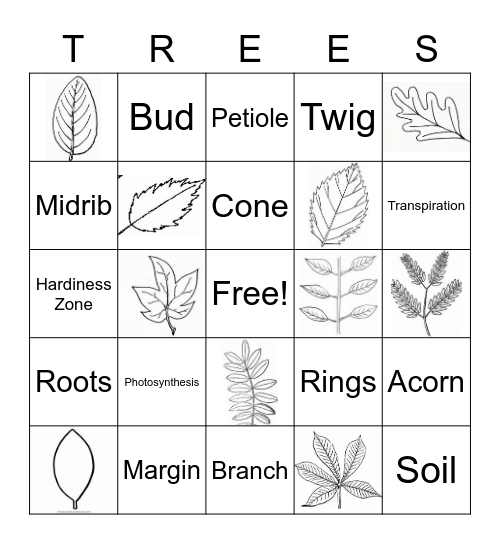 TREE Bingo Card