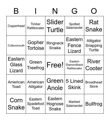 Reptile Bingo Card