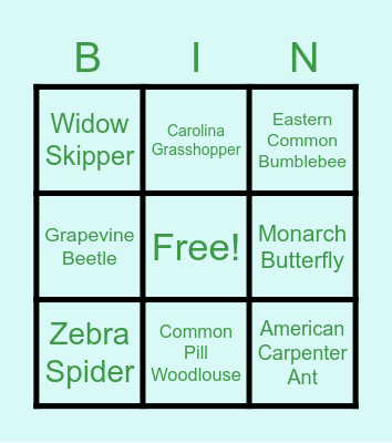 Illinois Bug Bingo Card