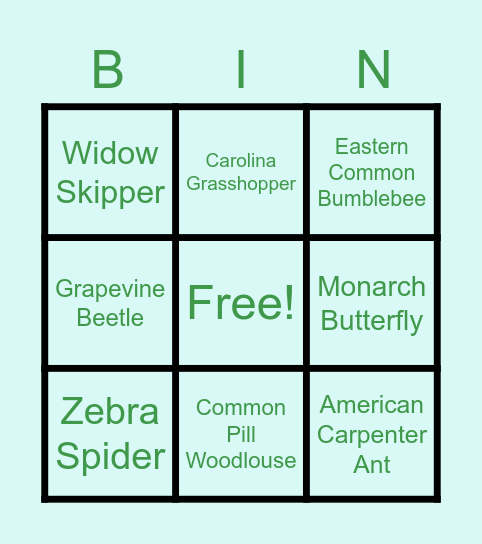 Illinois Bug Bingo Card