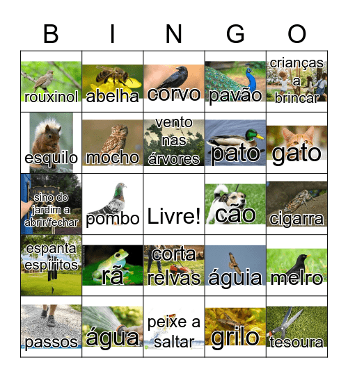 Jardim de sons Bingo Card