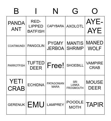 Unusual Animal Bingo Card