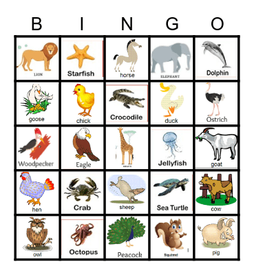 Animal Bingo Card
