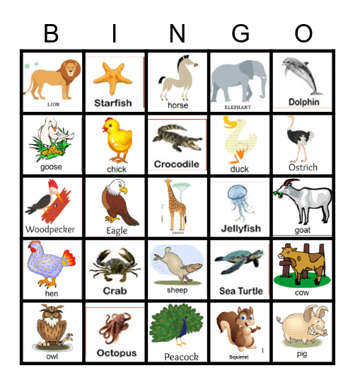 Animal Bingo Card