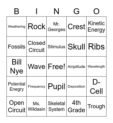 Science Year Review Bingo Card