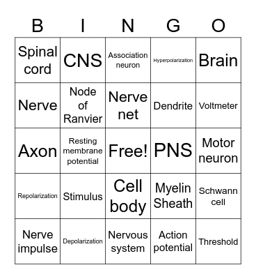 Nervous system Bingo Card