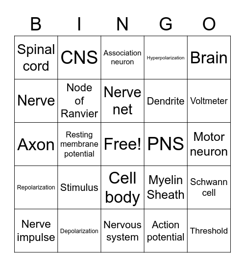 Nervous system Bingo Card