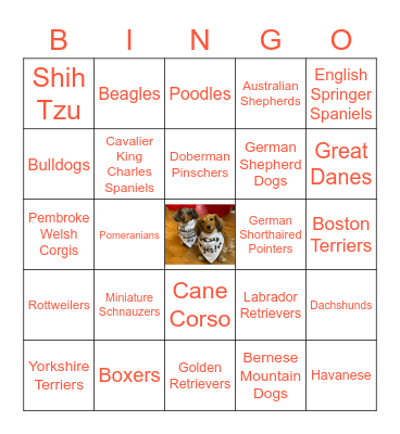 PUP BINGO Card
