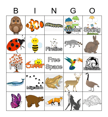 Zoo Camp Seasons Bingo Card