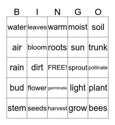 Life in the Soil BINGO Card