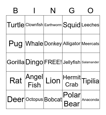 Animals Bingo Card