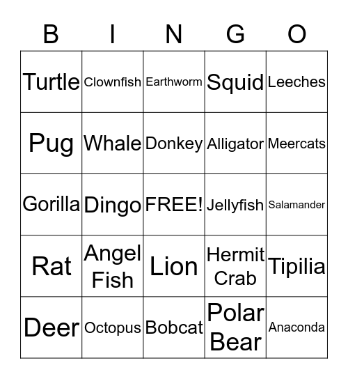 Animals Bingo Card