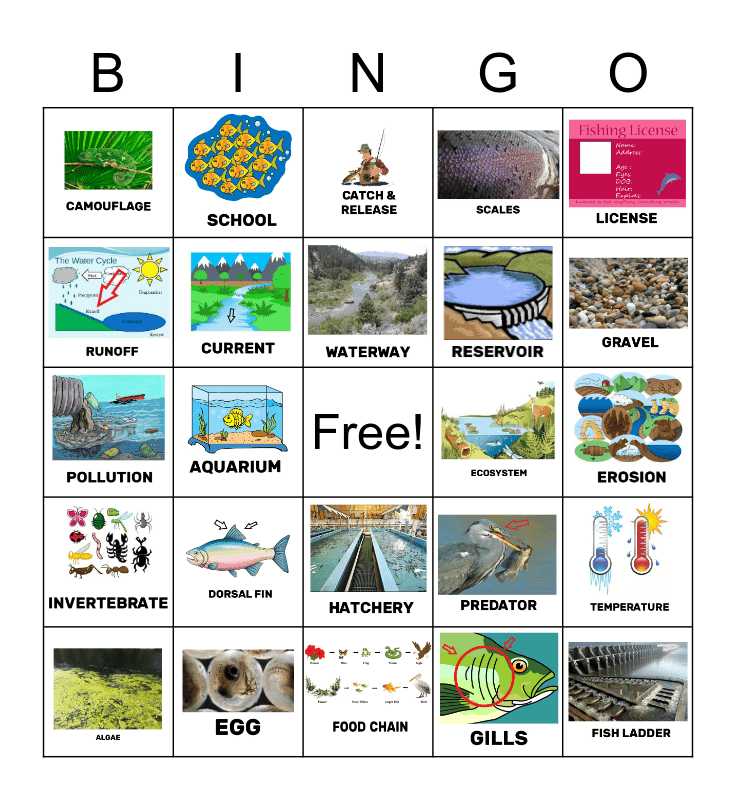 fish-bingo-bingo-card