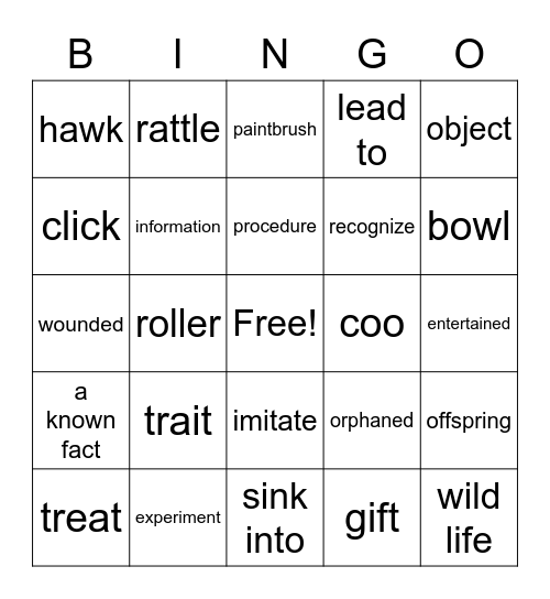 Crows are so clever: They can play, socialize and clean up Bingo Card