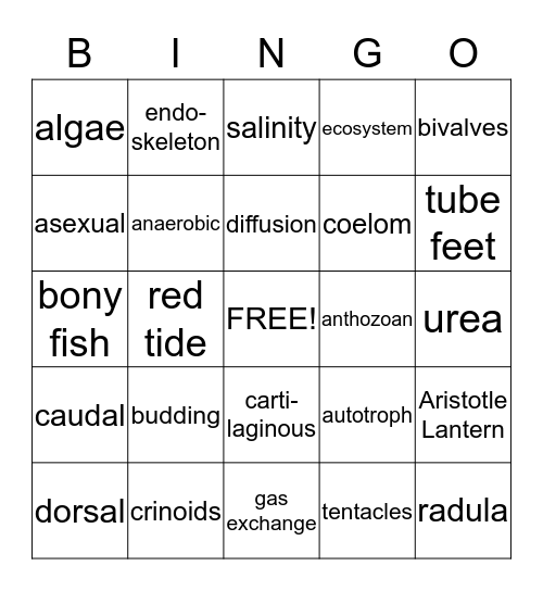 Marine Biology Bingo Review  Bingo Card