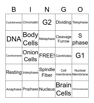 Mitosis Bingo Card