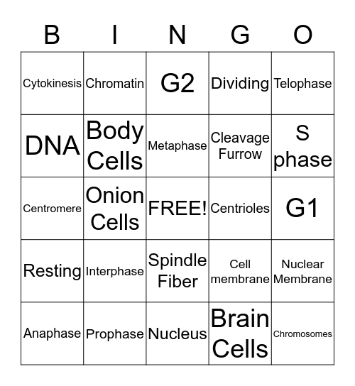 Mitosis Bingo Card