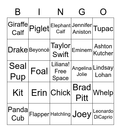 Erin's Baby Bingo! Bingo Card
