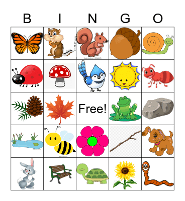 Explore Outdoor Bingo Card