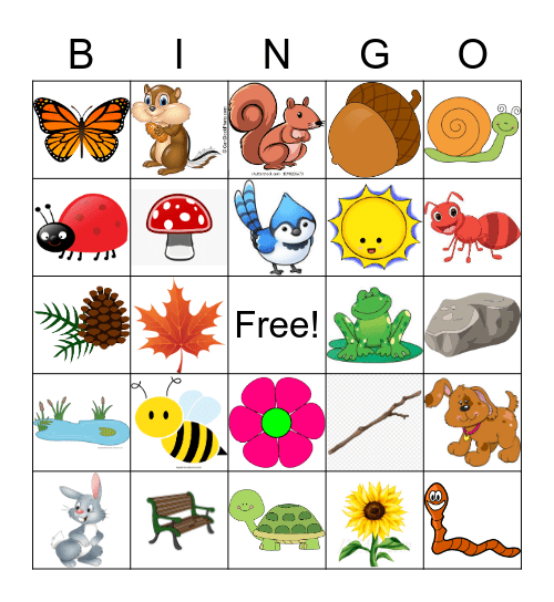 Explore Outdoor Bingo Card