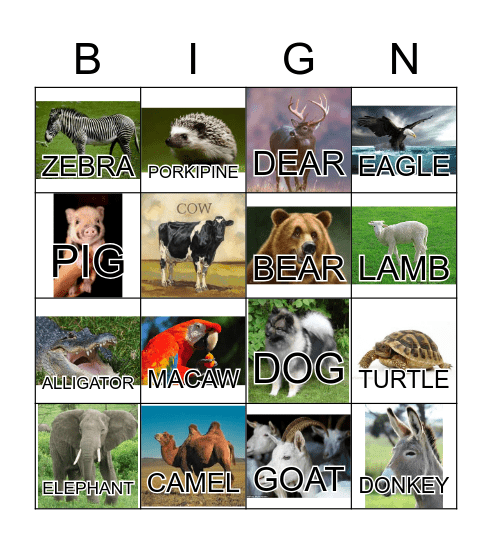 ANIMAL Bingo Card