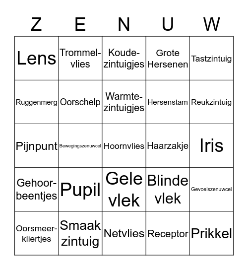 Zintuigen en Regeling Bingo Card