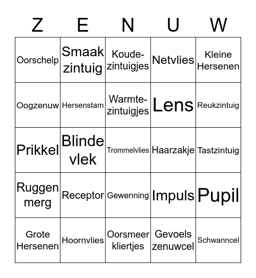 Zintuigen en Regeling Bingo Card