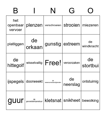 Noodweer Bingo Card