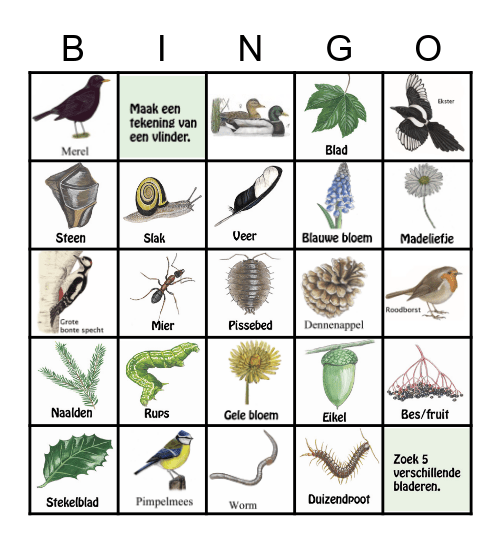 natuur bingo Card