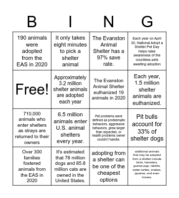 ANIMAL SHELTER BINGO #2 Bingo Card