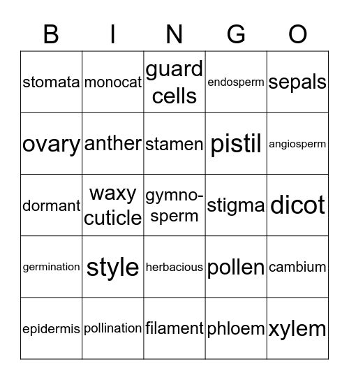 Chapters 9/10 Bingo Card